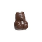 MOULE À CHOCOLAT OURS POLAIRE