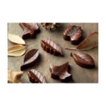 SCG10 NATURE - MOULE EN SILICONE 51X23 H 14,5 MM