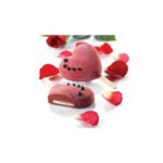 GEL03 HEART-IC- SET 2 MOULE EN SILICONE 91X85 H 23 MM