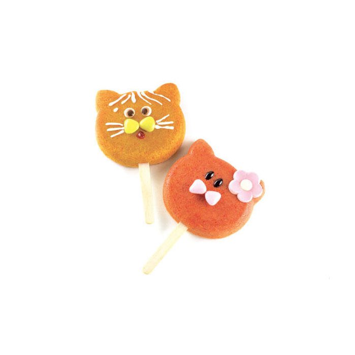 25.318.87.0098.jpg GEL08 CAT - SET 2 MOULE EN SILICONE 88,5X82 H 22 MM – Image 1