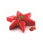 KIT ETOILE -SET 2 MOULE EN SILICONE ETOILE