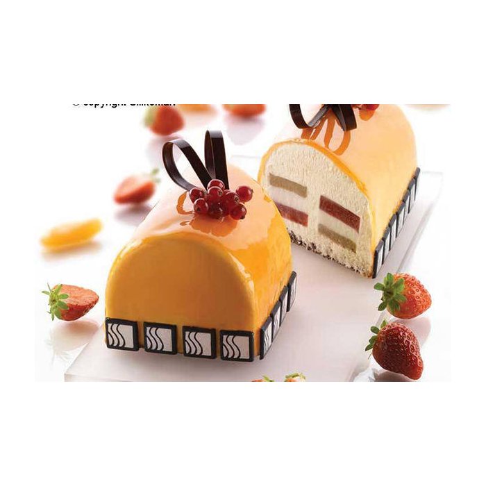 27.226.87.0060.jpg INSERT BUCHE/1 - MOULE EN SILICONE 220X60 H 50 MM – Image 1