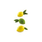 LIMONE 120-MOULE EN SILICONE 88X61H44 MM+PLASTIC SUPPORT