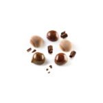MARRON GLACE 30-MOULE EN SILICONE