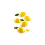 LIMONE & LIME 30-MOULE EN SILICONE N°15