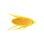 PANNOCCHIA 20-MOULE EN SILICONE N°12
