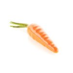 CAROTA 20-MOULE EN SILICONE N°12