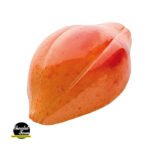 MOULE POLYCARBONATE CABOSSE