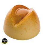 MOULE POUR PRALINE INCAVO