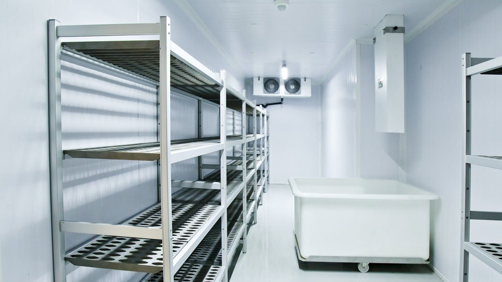 Froid et Conservation : SoBusiness, Votre Partenaire de Confiance en Équipements de Cuisine